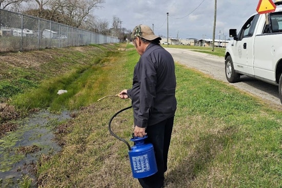 West Nile Hits Pearland As Mosquito Traps Pop Positive Across Town