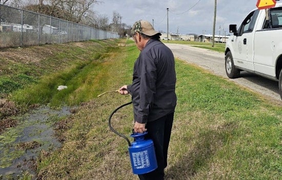 West Nile Hits Pearland As Mosquito Traps Pop Positive Across Town