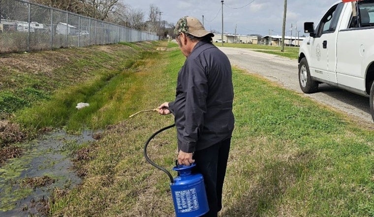 West Nile Hits Pearland As Mosquito Traps Pop Positive Across Town