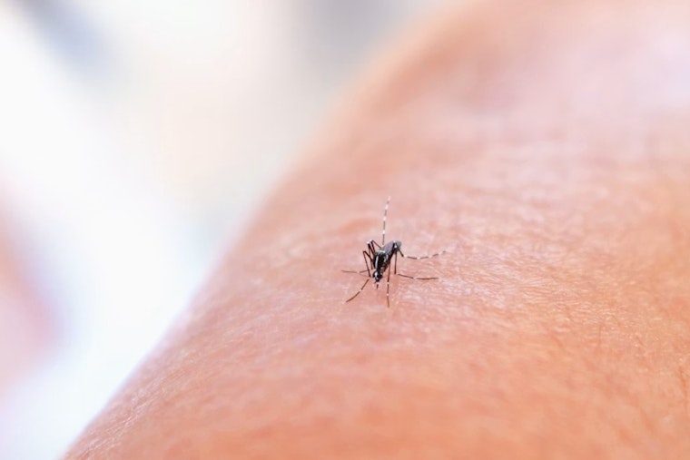 West Nile Scare Has Spray Trucks Rolling Through Dublin Tonight