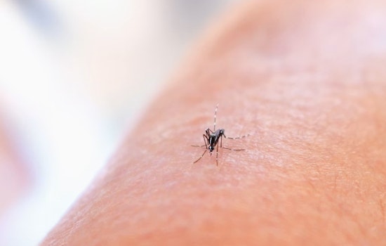 West Nile Scare Has Spray Trucks Rolling Through Dublin Tonight