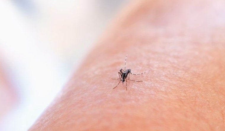 West Nile Scare Has Spray Trucks Rolling Through Dublin Tonight