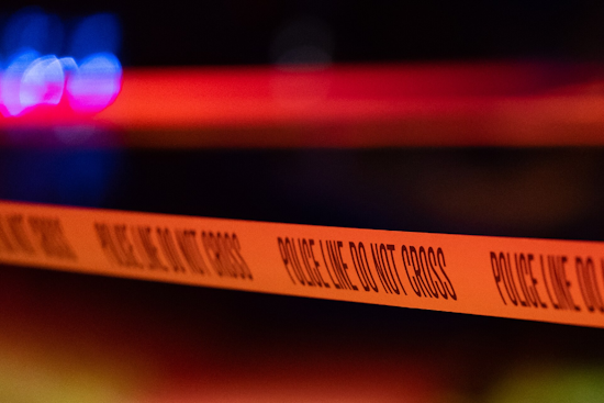 West Side House Horror: Dog Mauls Woman, Teen In Pre-Dawn Attack