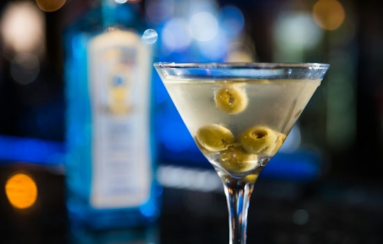 West Town Couple Turns Former Distillery Into Martini-Fueled Home Bar Hangout