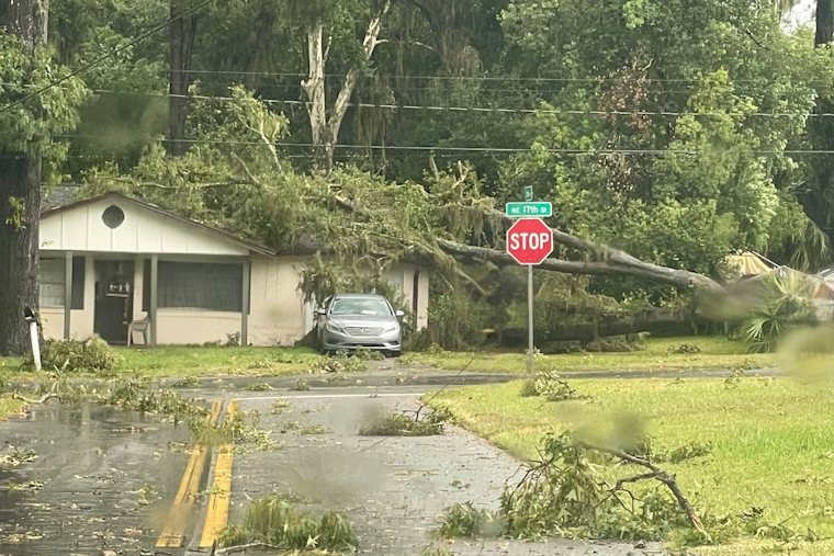 Wild Storm Shreds Ocala Streets, Drops Trees and Live Wires