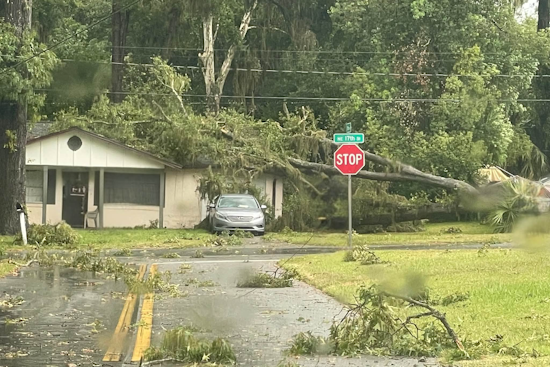 Wild Storm Shreds Ocala Streets, Drops Trees and Live Wires