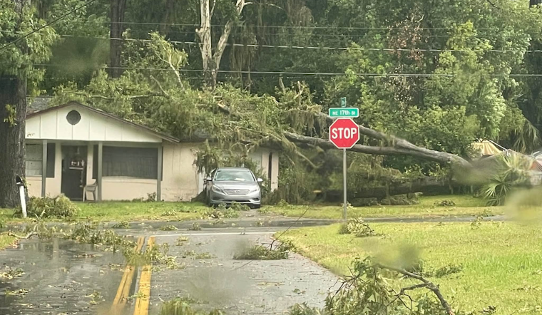 Wild Storm Shreds Ocala Streets, Drops Trees and Live Wires