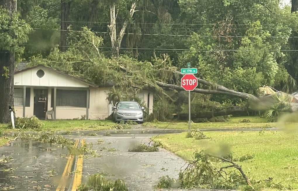 Wild Storm Shreds Ocala Streets, Drops Trees and Live Wires