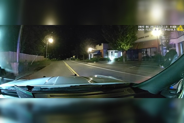 Young Bear Leads Wilsonville Cops On Late-Night Parking Lot Chase