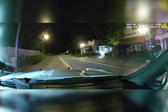 Young Bear Leads Wilsonville Cops On Late-Night Parking Lot Chase