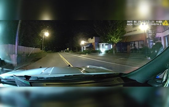 Young Bear Leads Wilsonville Cops On Late-Night Parking Lot Chase