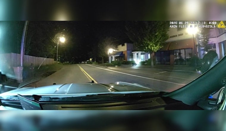 Young Bear Leads Wilsonville Cops On Late-Night Parking Lot Chase