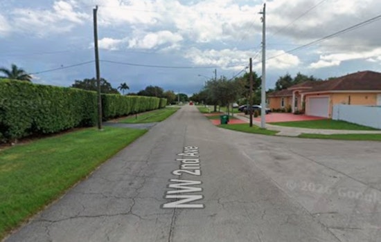 Wynwood Jogger Knocked Out in Brutal Pit Bull Street Ambush