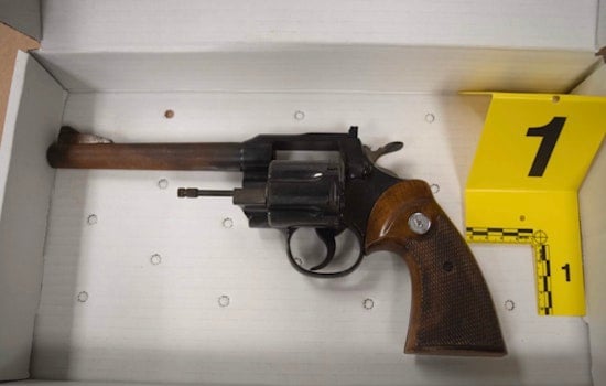 Yonkers Rookie Cop Nails Alleged Gun-Toting Street Chaser