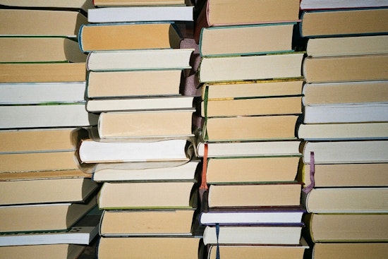 110,000 Books Pile Up in Chicago Libraries as Driver Shortage Drags On