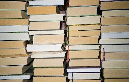 110,000 Books Pile Up in Chicago Libraries as Driver Shortage Drags On