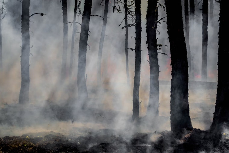 200-Acre Everglades Brush Fire Chokes West Miami-Dade With Zero Containment