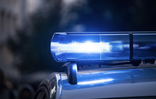 41-Year-Old Woman Attacked in Central Park at 3 A.M., Police Hunt Suspect