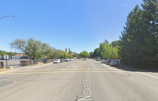59-Year-Old Woman, Her Dog Killed Crossing Novato Boulevard Near School