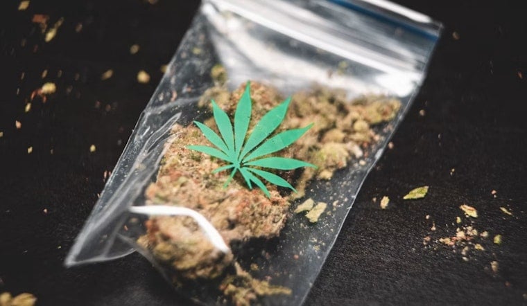 600 Pounds of Weed Vanished With No Charges, Now Haunts Savit's AG Bid