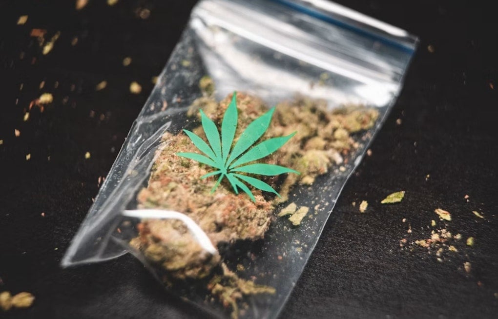 600 Pounds of Weed Vanished With No Charges, Now Haunts Savit's AG Bid