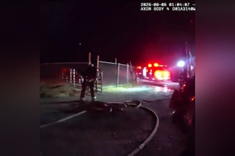 68-Year-Old Woman Dies as Fire Engulfs Spanaway Home Before Dawn