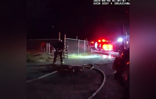 68-Year-Old Woman Dies as Fire Engulfs Spanaway Home Before Dawn