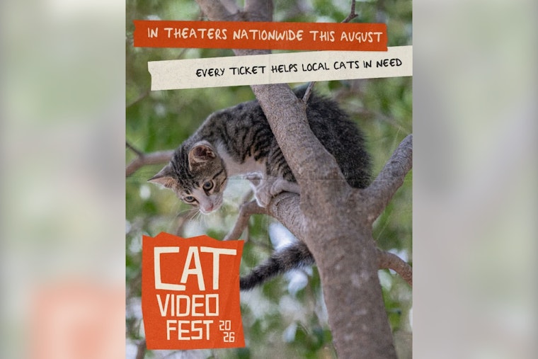 70 Minutes of Cat Videos Return to Speed Art Museum, Fund Louisville Rescues