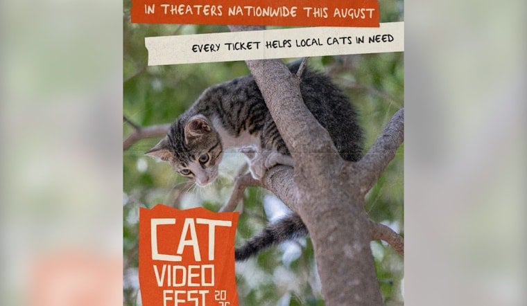 70 Minutes of Cat Videos Return to Speed Art Museum, Fund Louisville Rescues