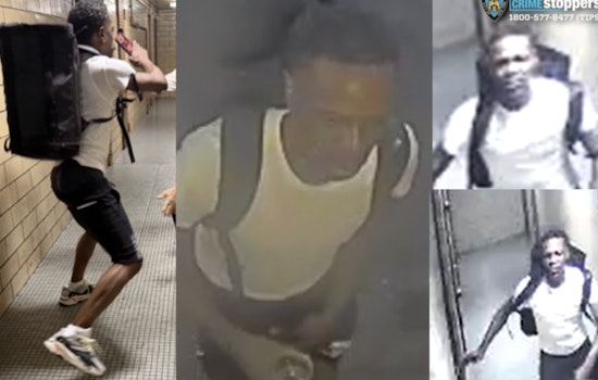 75-Year-Old Punched Repeatedly in Face at Harlem's King Towers, NYPD Hunts Attacker