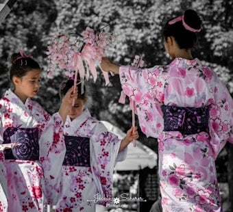 Como Park's Obon Festival Returns Sunday With Lanterns, Taiko and Advance Tickets Only