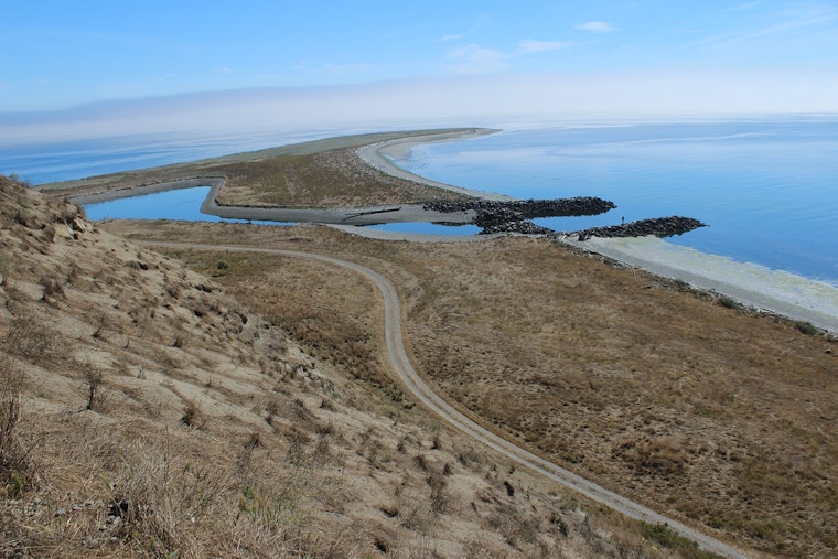 78-Year-Old Lone Resident Backs Tribe's Bid for Protection Island Refuge
