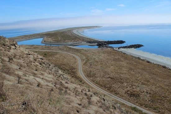 78-Year-Old Lone Resident Backs Tribe's Bid for Protection Island Refuge