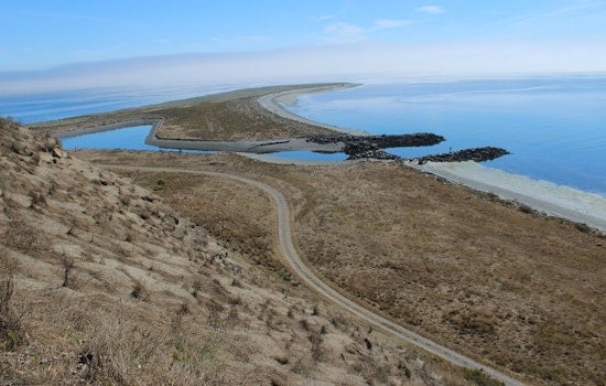 78-Year-Old Lone Resident Backs Tribe's Bid for Protection Island Refuge