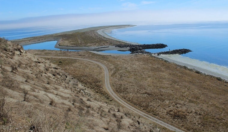 78-Year-Old Lone Resident Backs Tribe's Bid for Protection Island Refuge