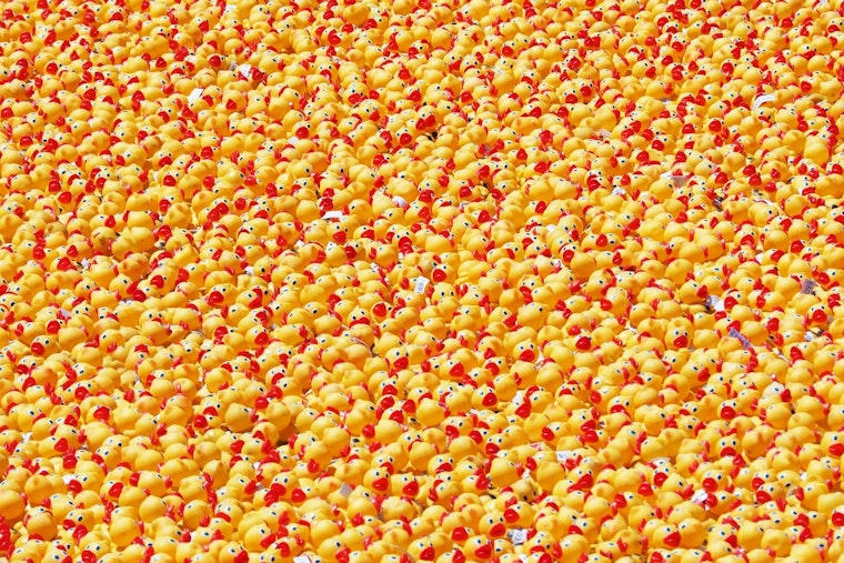 85,000 Rubber Ducks Flood Chicago River Thursday for Special Olympics Cash