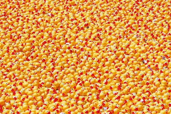85,000 Rubber Ducks Flood Chicago River Thursday for Special Olympics Cash
