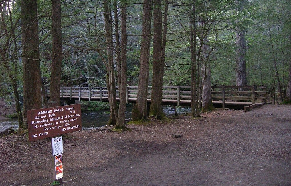 Abrams Falls Trail Closes Weekdays for a Month as Crews Add Safety Stairs