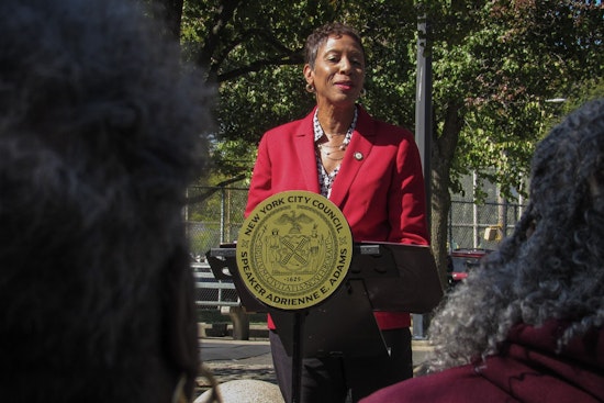 Adrienne Adams Heckled Over Antisemitism at Mill Basin Democratic Forum