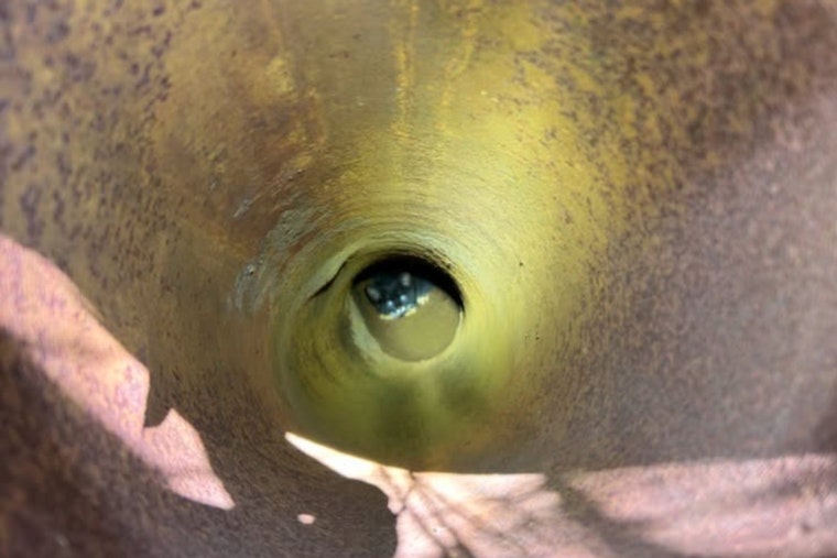 Alameda Kitten Pulled From 10-Foot Metal Pipe, Adopted by Dispatcher
