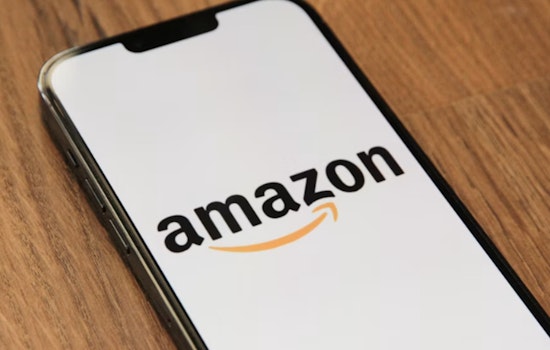 Amazon Drone Dunks Package In Richmond Woman's Backyard Pool