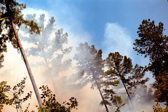 Anadarko Fire Destroys Four Homes as Wildfires Rage Across Oklahoma