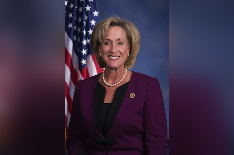 Ann Wagner's Net Worth Hits $26 Million as Rival Wellman Cites Past Bankruptcies