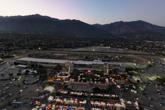 Arcadia Fights to Save 150-Year-Old Oaks From Santa Anita's Olympic Course