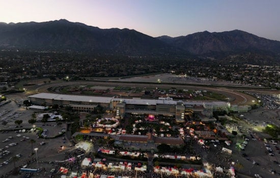 Arcadia Fights to Save 150-Year-Old Oaks From Santa Anita's Olympic Course