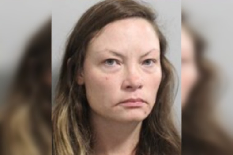 Auburndale Woman Faces 10 Felonies After Standoff With Deputies