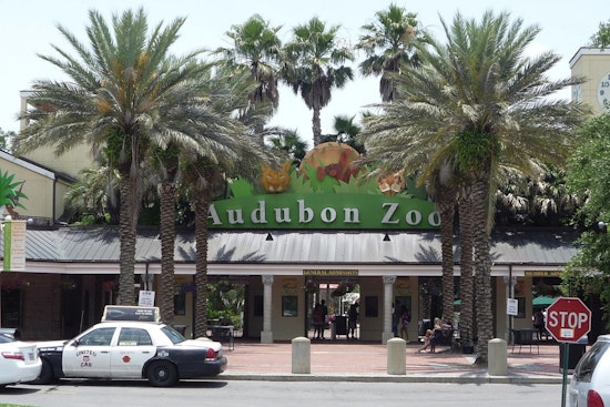 Audubon Zoo Debuts New Train, Gives Manning Children's Hospital Kids First Ride