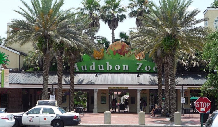 Audubon Zoo Debuts New Train, Gives Manning Children's Hospital Kids First Ride