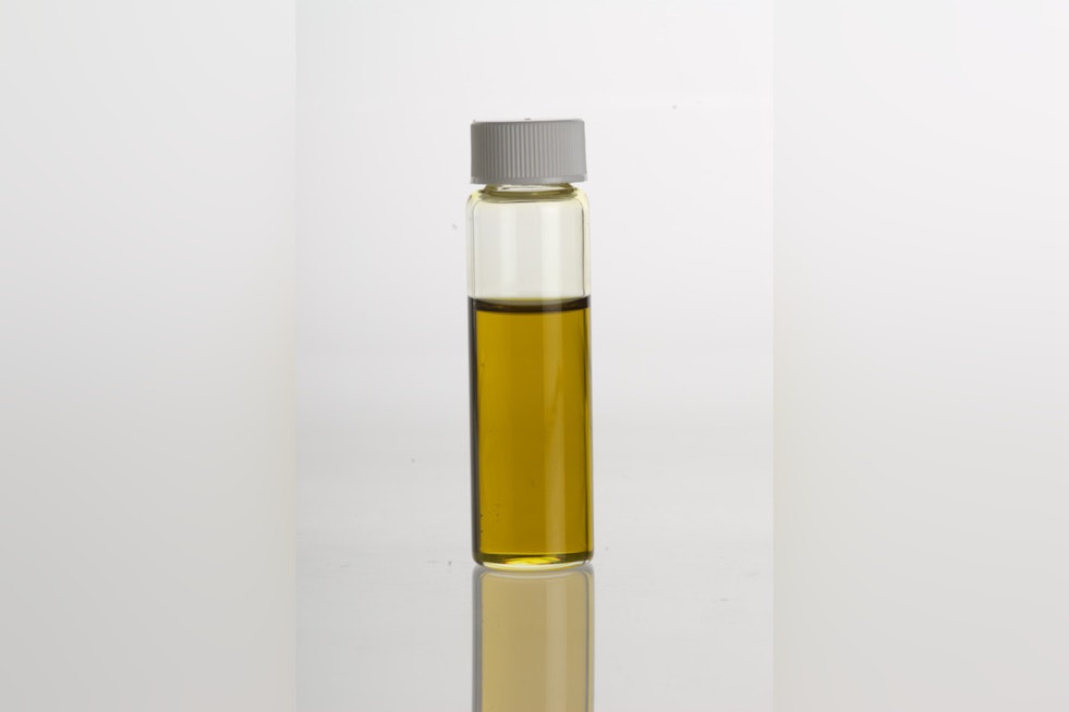 Avocado Oil Snacks Fail Purity Tests, UC Davis Study Finds Most Are Fake