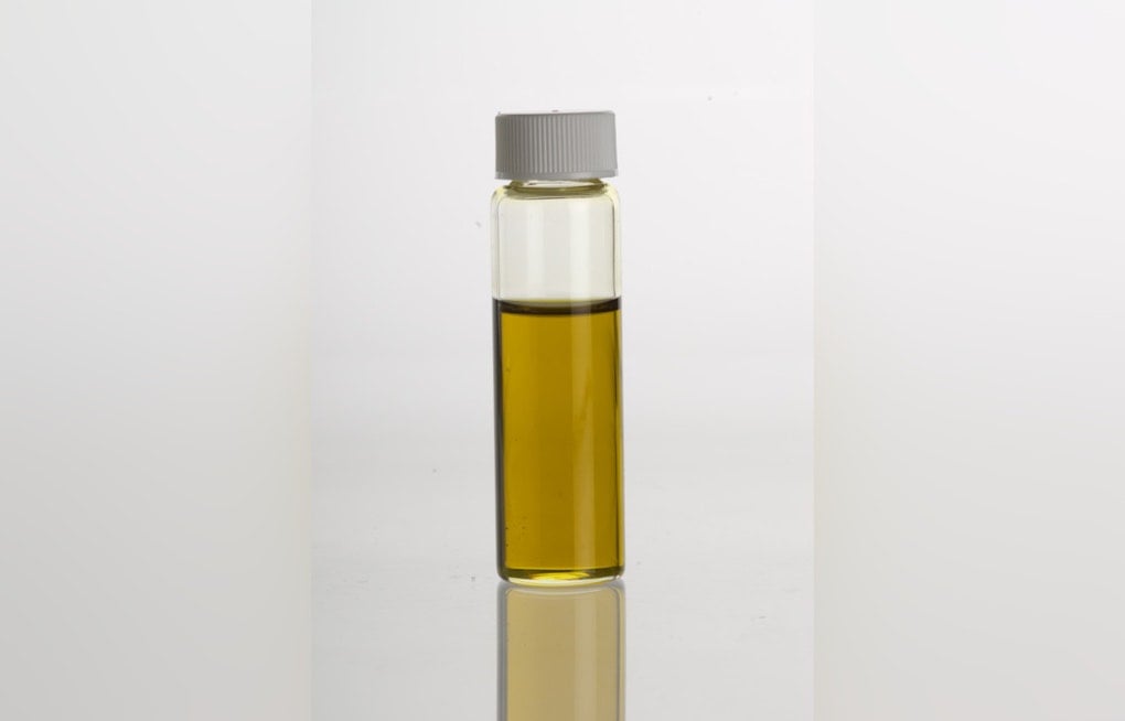 Avocado Oil Snacks Fail Purity Tests, UC Davis Study Finds Most Are Fake